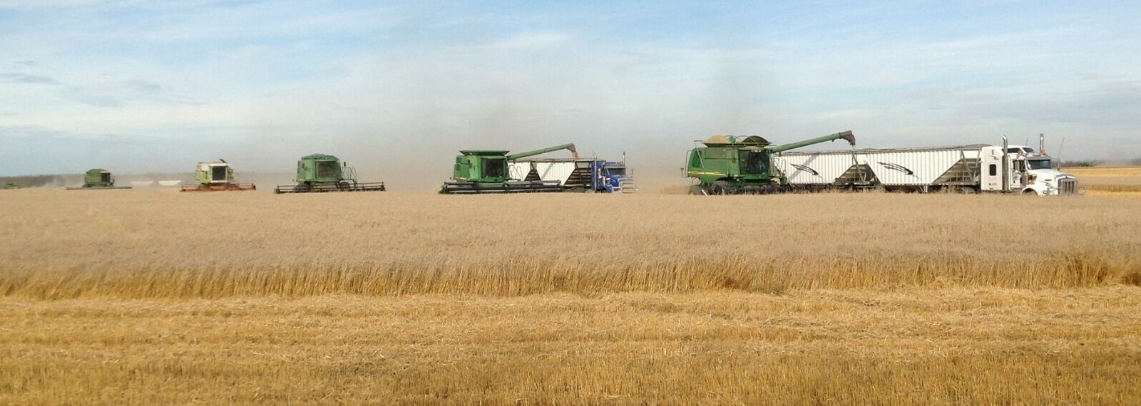 Agricultural Extension Services